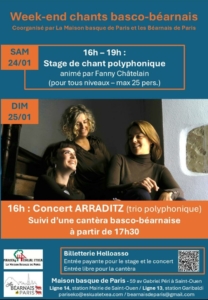 Affiche concert Arraditz